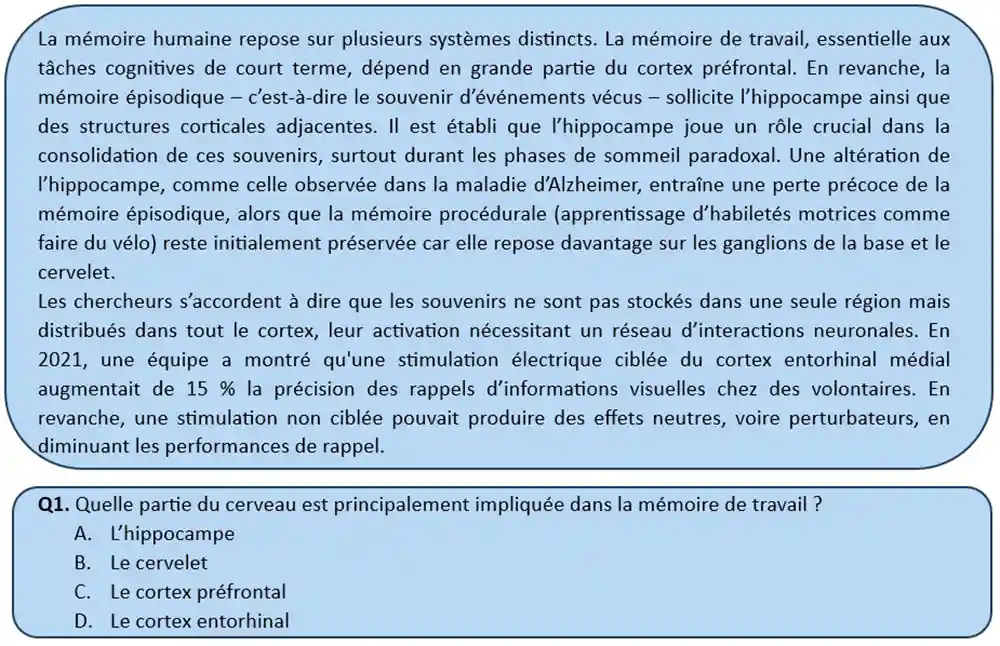 aptitude-verbale-compréhension-de-texte-1