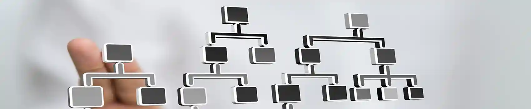 tests-psychotechniques-organisation