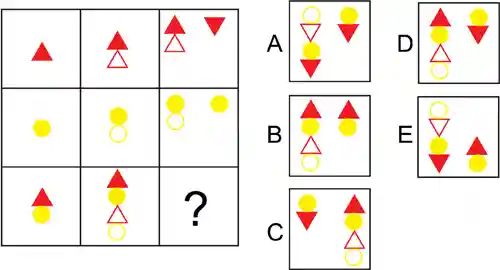 tests tpg matrices de raven