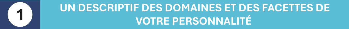 test personnalité armée domaines et facettes