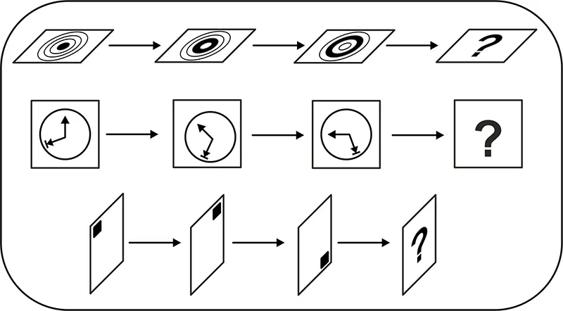 tami-c-logique-cubes